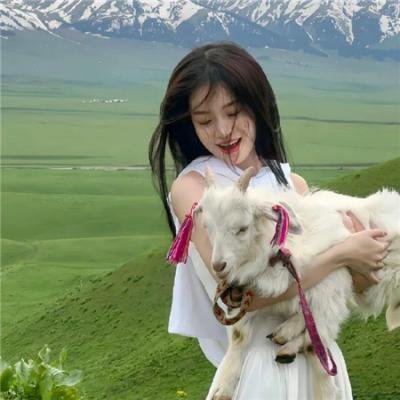 丛林少女之重启